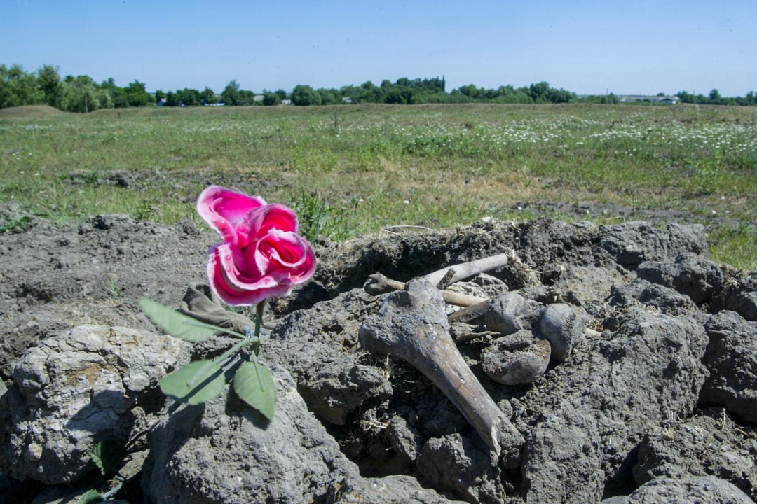 2007年6月7日，乌克兰Gvozdavka，二战期间一个被屠杀犹太人的万人坑，有人在旁放了一朵花。