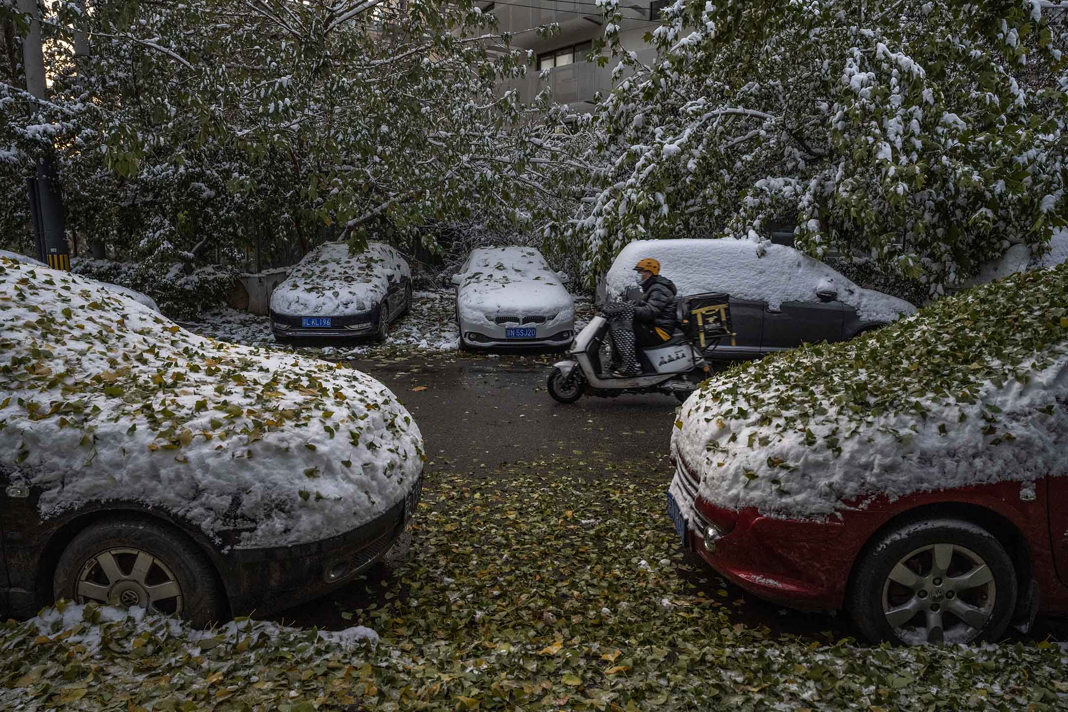 2021年11月7日北京，一名外送司机骑著摩托车经过被积雪覆盖的汽车。