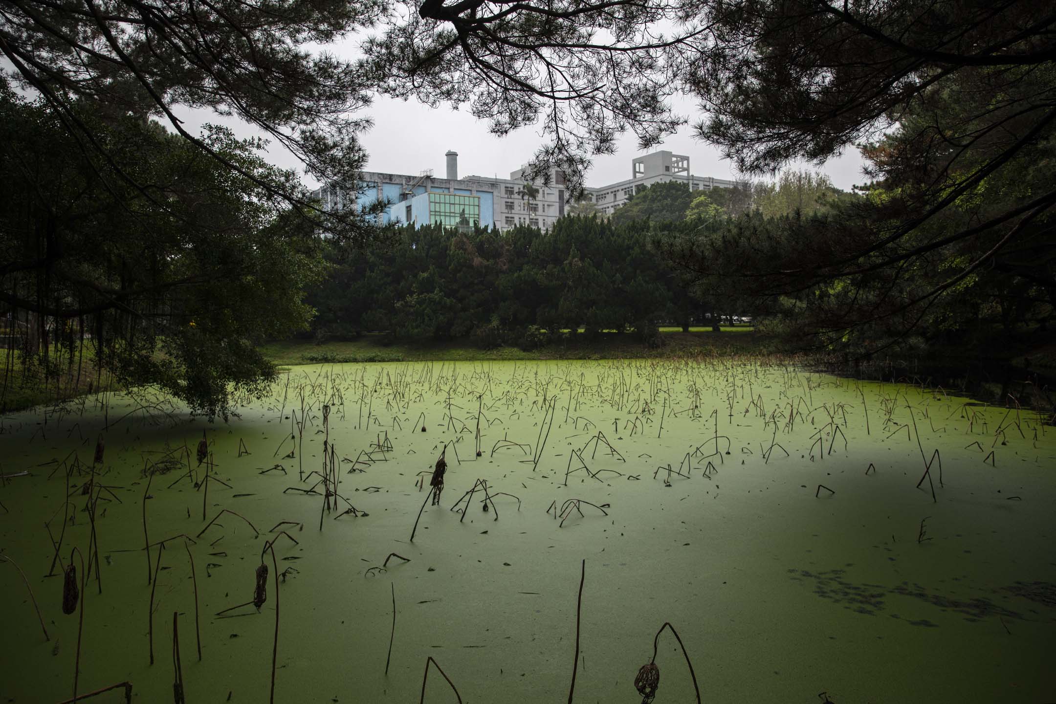 国立清华大学。