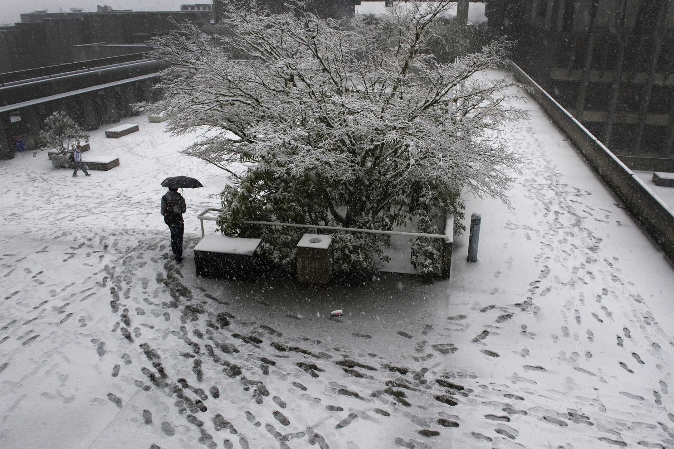 加拿大温哥华的一所大学，一名学生在雪中前往上课。