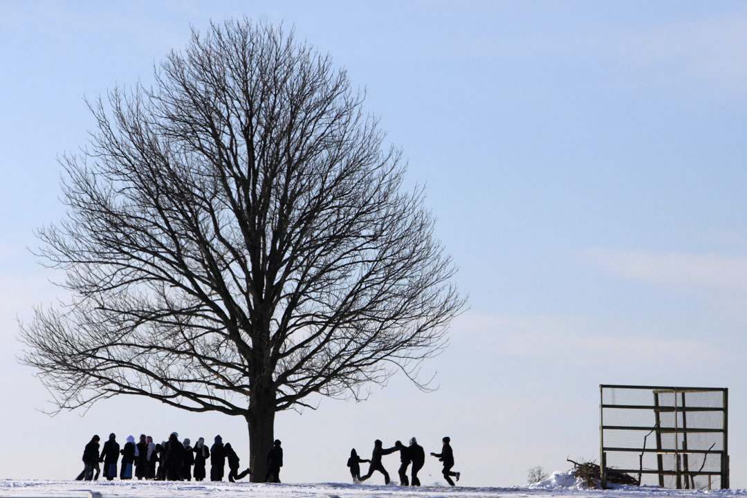 2011年1月13日，阿米什人（Amish）在宾夕法尼亚州兰开斯特县玩雪。