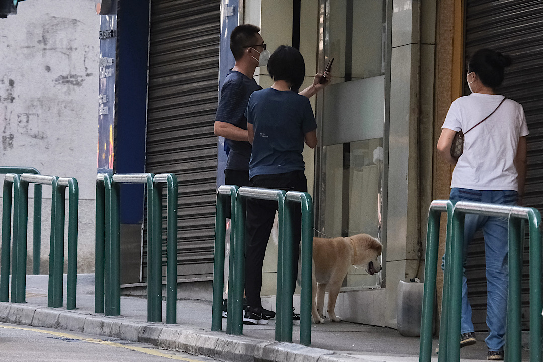 在相对静止期下，动物诊所成为宠物犬唯一能前往的合法去处。