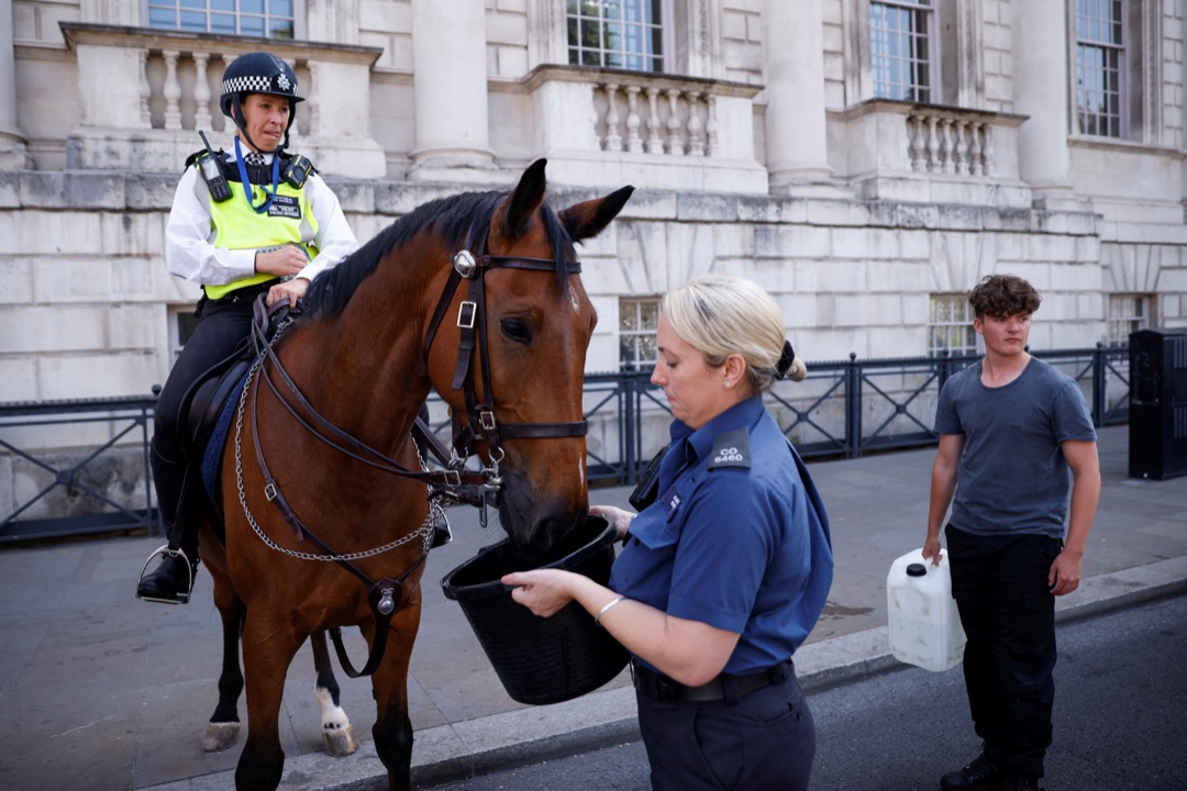 2022年7月18日，英國倫敦，一名騎警給一隻警察馬匹喝水。