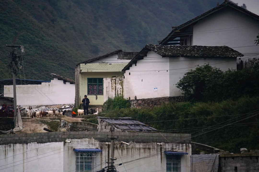 2020年9月9日，中国四川省凉山彞族自治区，一名男子站在路上赶羊。