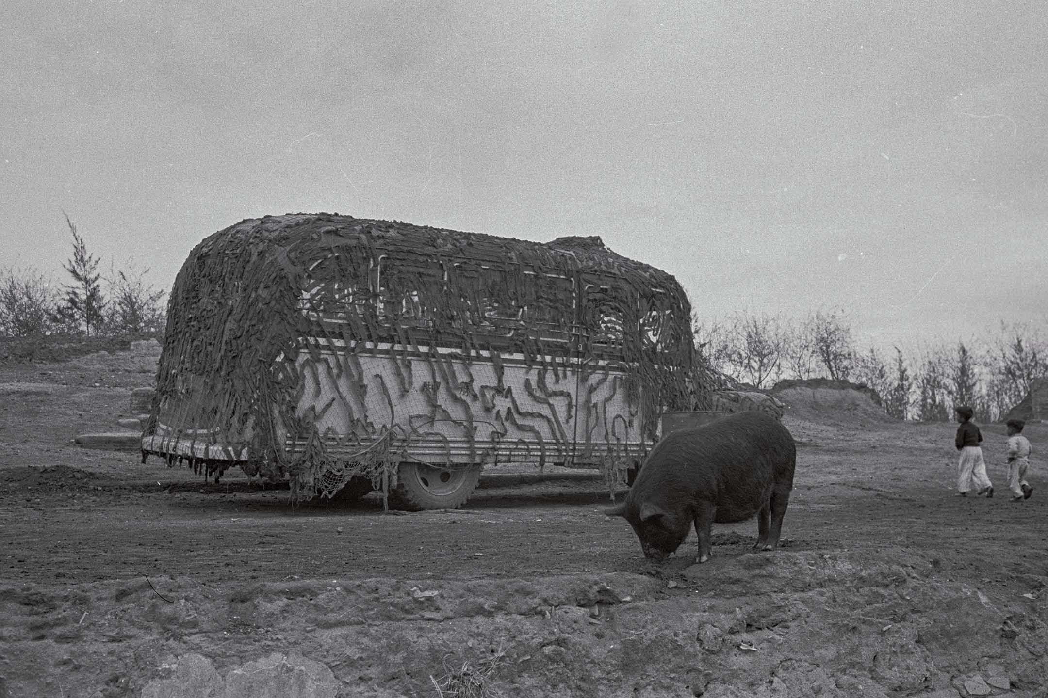 1955年4月，金门的一辆民用巴士及一头猪。