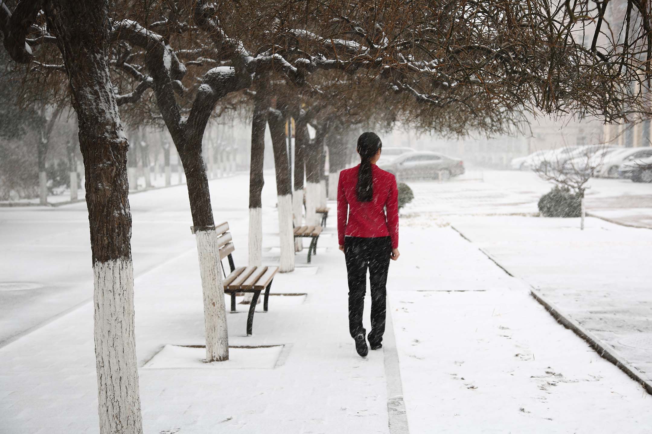 2017年2月21日，北京，一名妇女在雪地里行走。