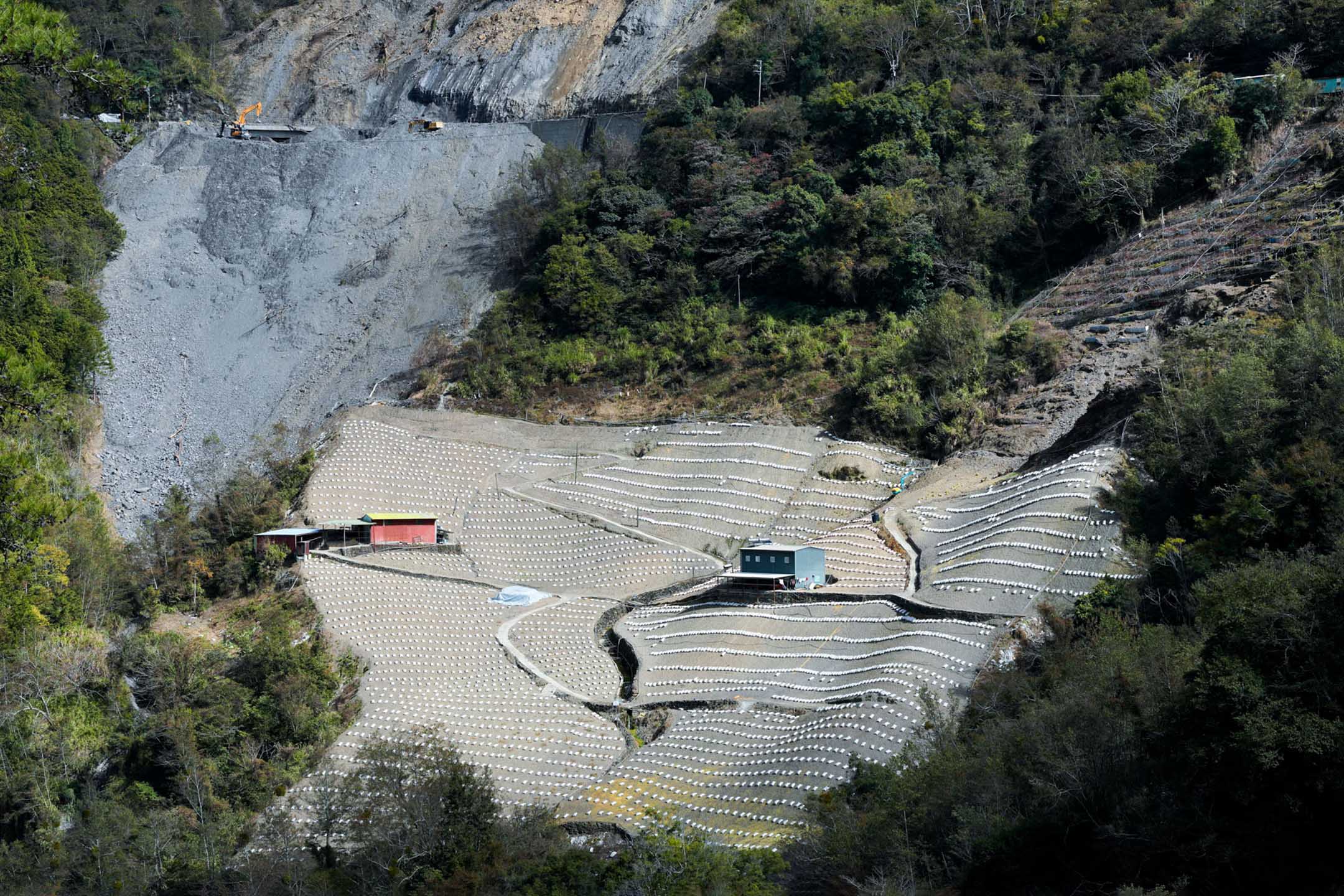 自然环境与科技类第一名。地区一处种植高丽菜的山坡地，铺满了一袋又一袋的鸡粪，作为种植高丽菜的基肥。而其上的中横公路边坡，崩塌不断扩大。