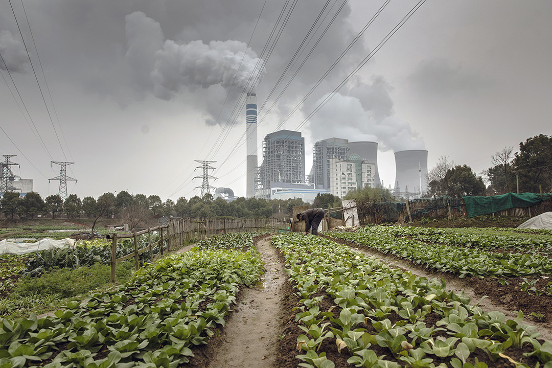 2019年1月16日，一名男子在燃煤发电厂前种植蔬菜。摄：Qilai Shen/Bloomberg via Getty Images