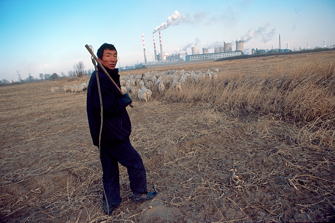 2008年12月02日，一名牧羊人，在燃煤发电厂外放羊。摄：Ryan Pyle/Corbis via Getty Images