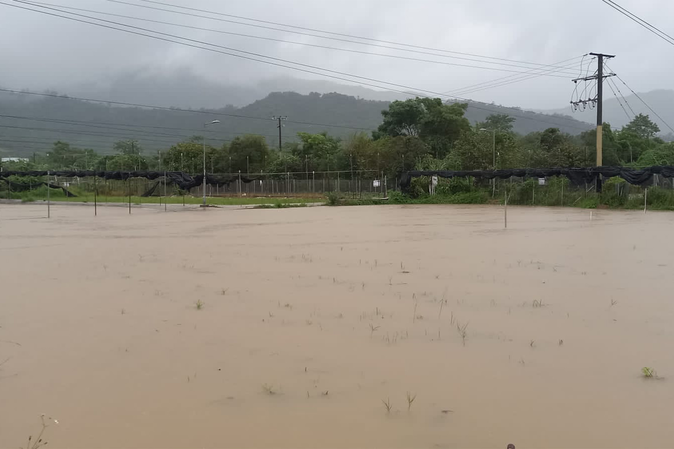 2023年9月8日，黑雨下，位于元朗新田小磡村的“信芯园农庄”水浸。图：受访者提供