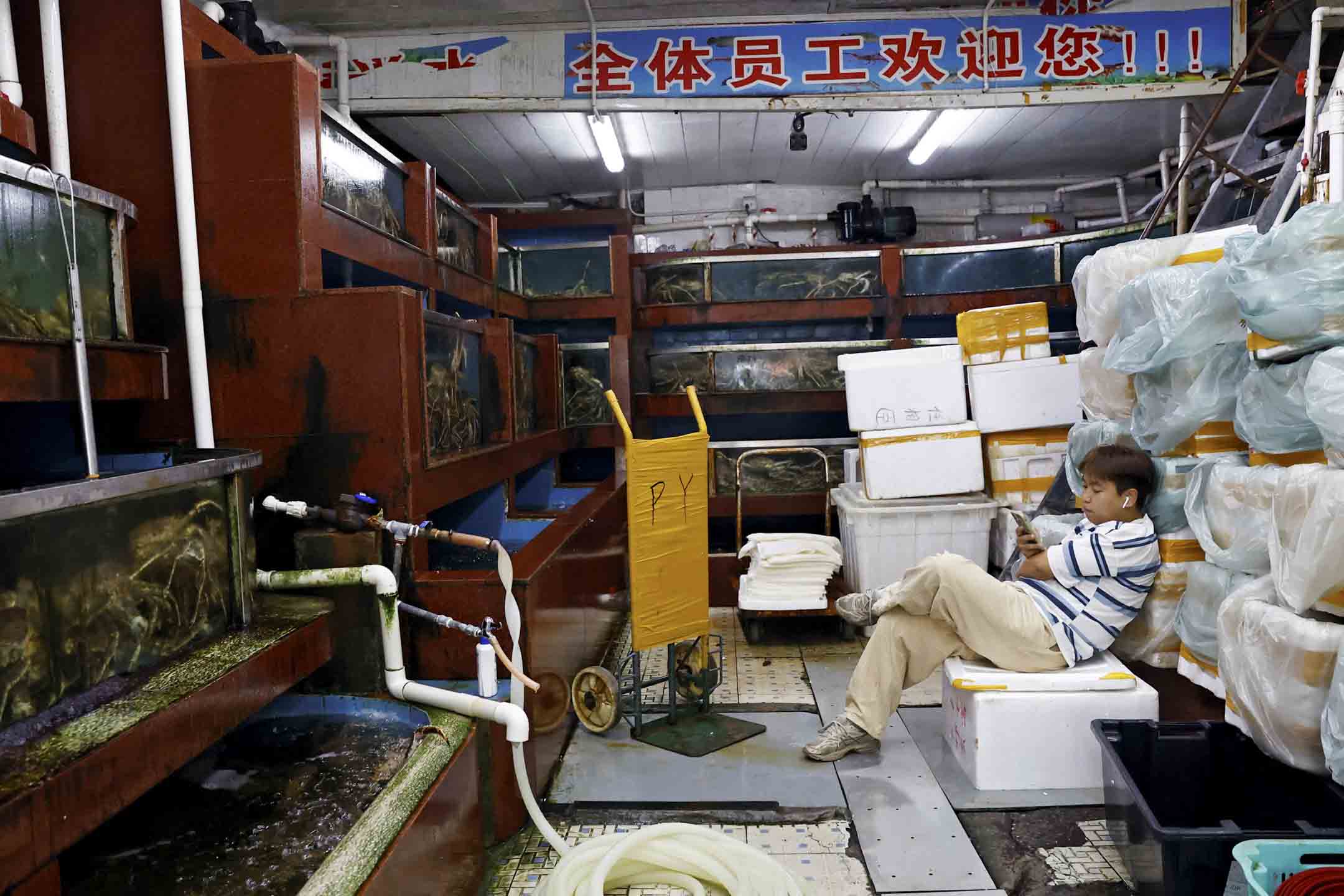 2023年8月24日，中国北京海鲜市场，一名在渔贩在查看手机。摄：Florence Lo/Reuters/达志影像