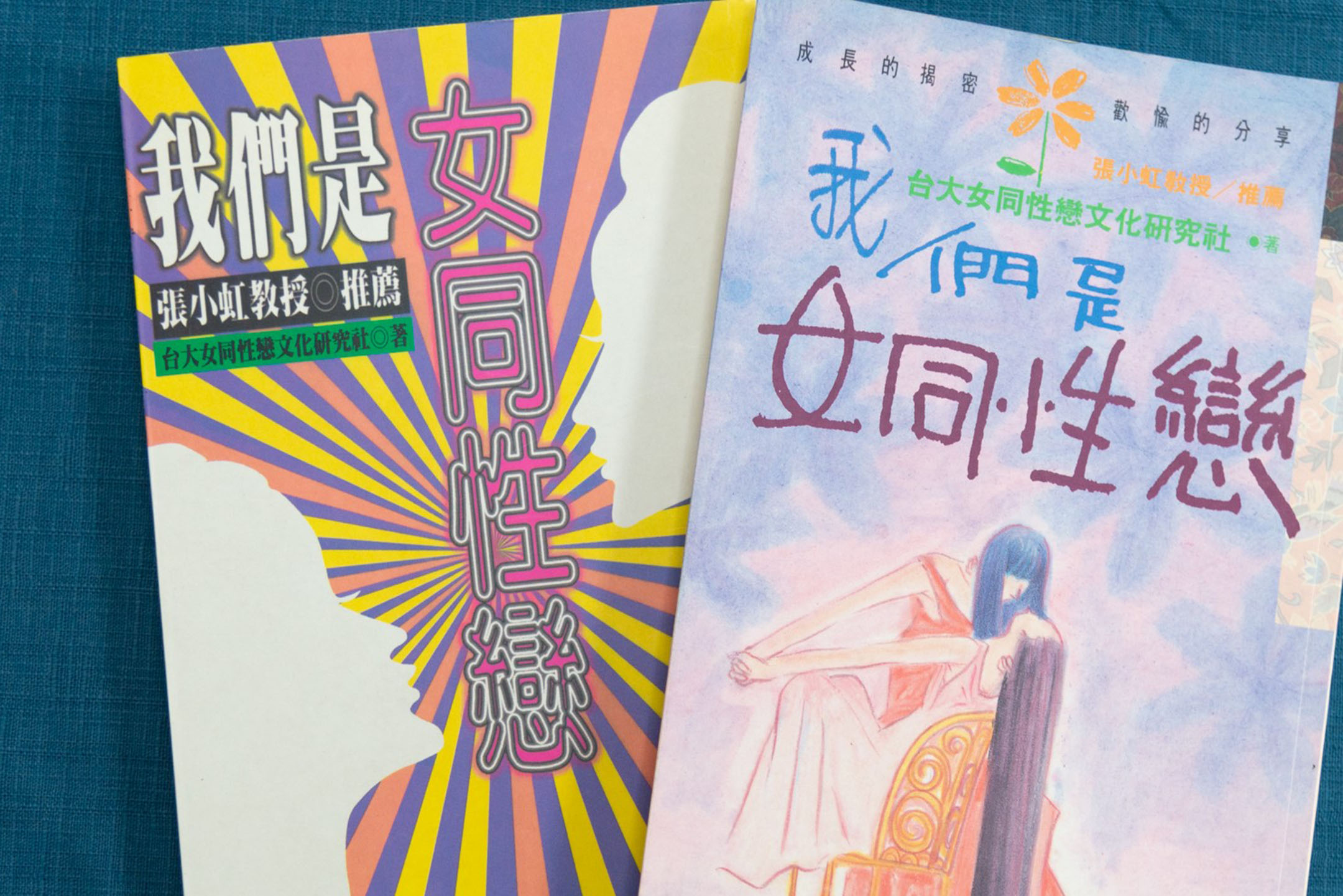 《我们是女同性恋》乃台大浪达社于1995年召集各方女同志集体创作编辑的书籍，自我定位为“台湾第一本由女同性恋团体自己编写整理的书籍”。图：陈韦臻/沃时文化有限公司