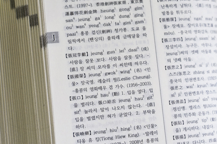 韩国人最喜欢的香港演员之一张国荣，也被收录在字典中；其他词条有华文媒体大亨张晓卿、中国维权律师张思之﹑岭大学生会的张倩盈等。摄影：吴珮如