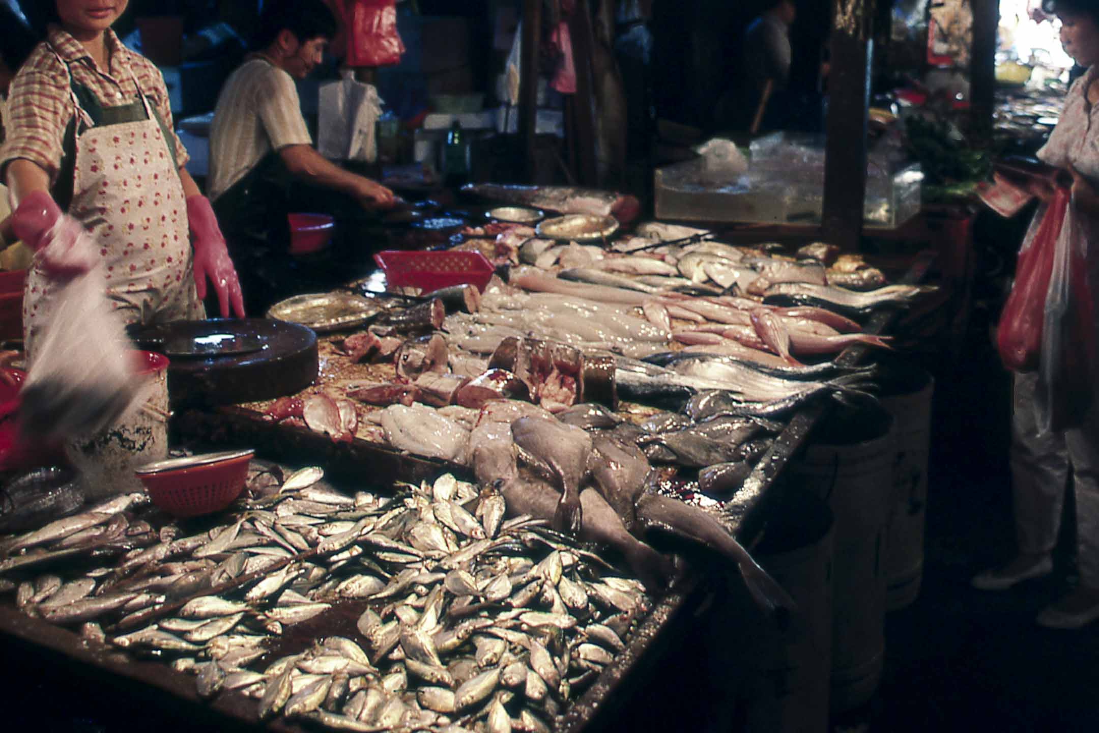 街市的鱼档。摄：Nik Wheeler/Corbis via Getty Images