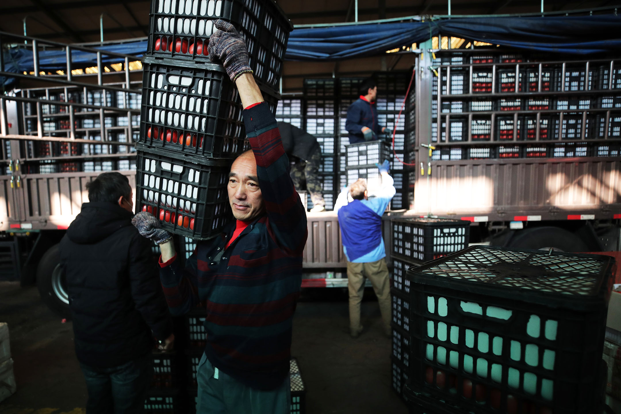 2023年12月20日，中国上海，工人在蔬菜批发市场运送货物。摄：Zhang Hengwei/China News Service/VCG via Getty Images