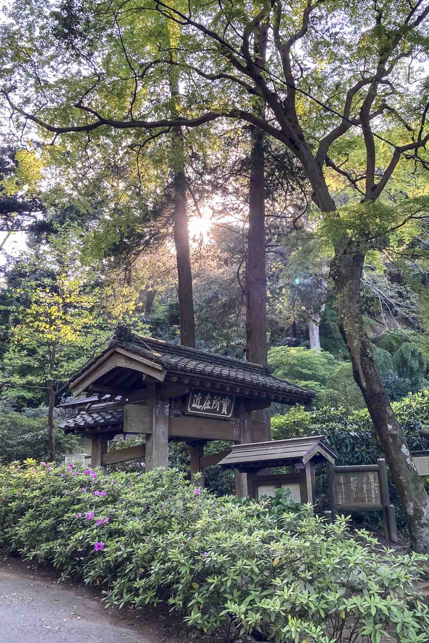 往小津旧邸路上是沿途树林和古雅竹建，距北镰仓站只15分钟，随时看到“日漏”。摄影：李照兴