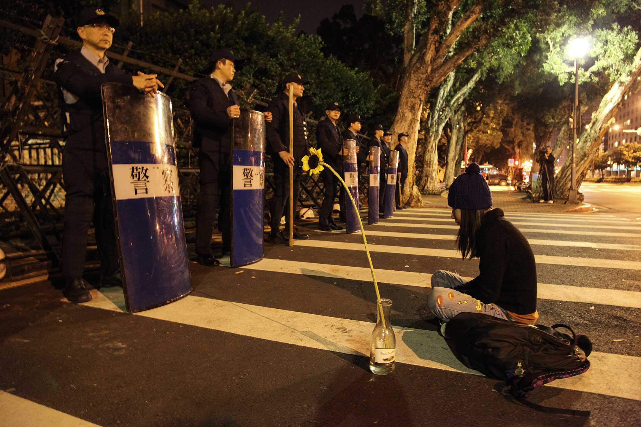 2014年3月24日，台北行政院前的警察防线，一名学生带同向日葵坐在地上抗议。摄：CTK via AP/达志影像