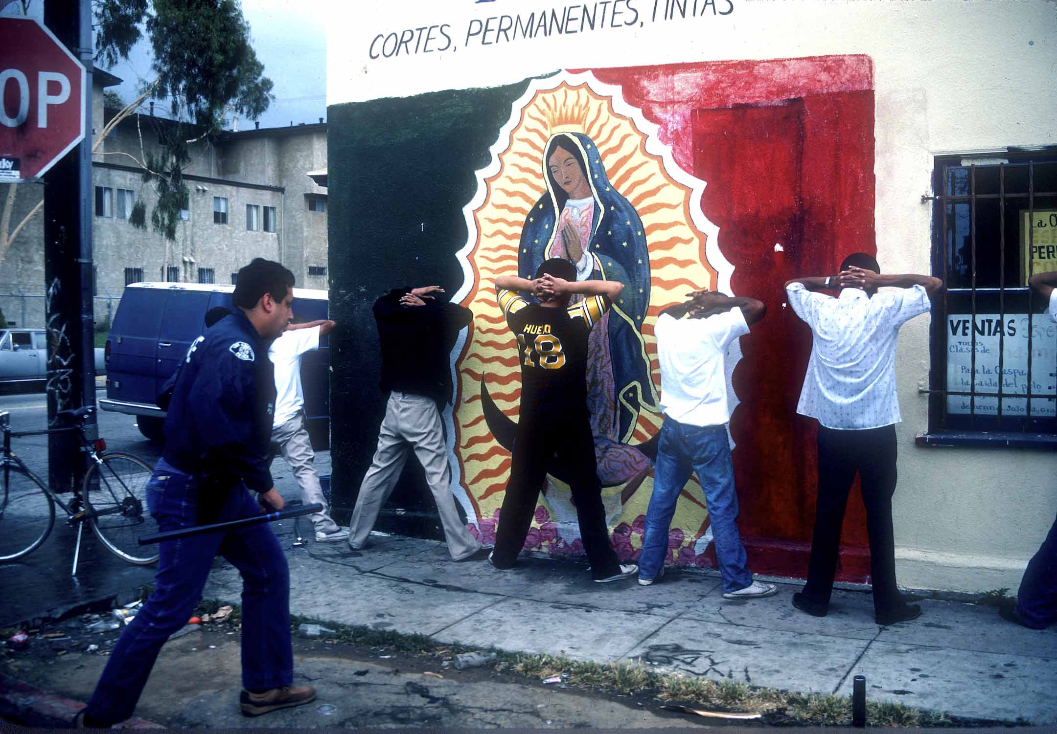 1984年10月16日，加州洛杉矶警察局的一次搜查行动中，犯罪团伙成员被捕，搜查中发现了武器和毒品。 摄：Paul Harris/Getty Images