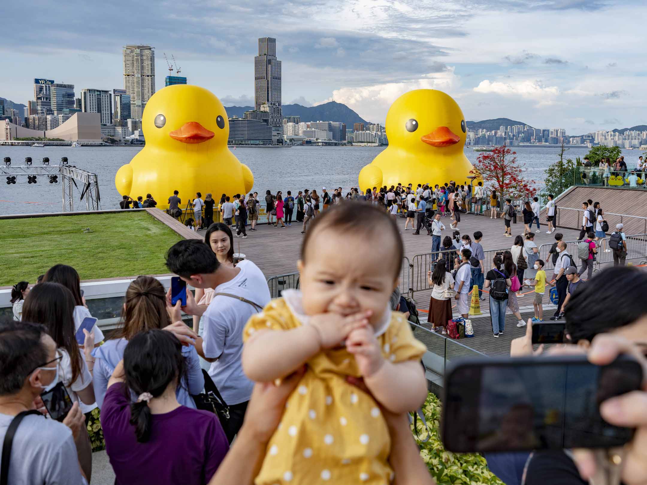 2023年6月12日，两只近18米高的黄色橡皮鸭(Rubber Duck)在维港中西区海滨长廊中环段展出，吸引大量市民到场拍照。摄：林振东/端传媒