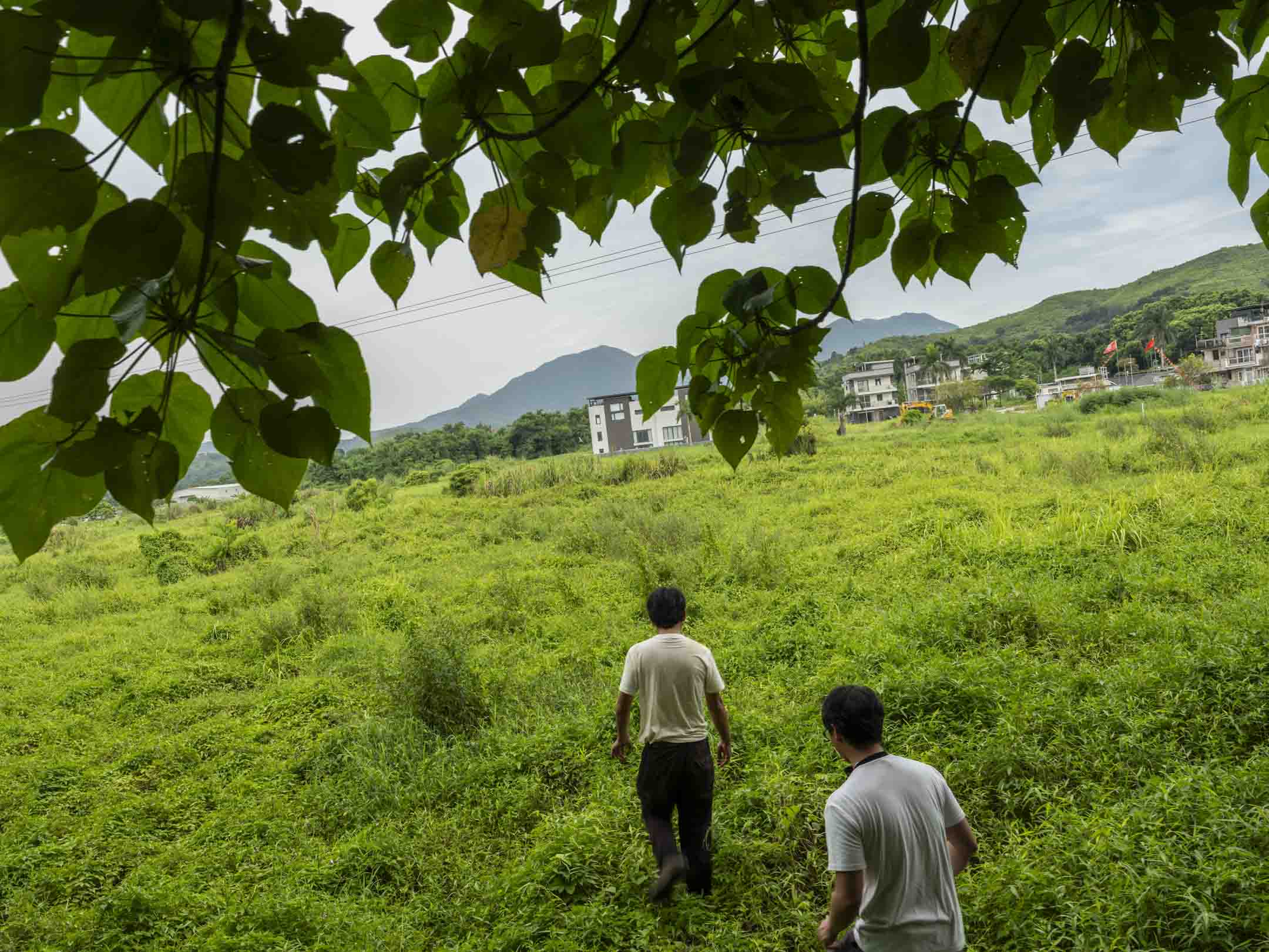 叶子林与陈剑青走在下山鸡乙的闲置农地上。摄：林振东/端传媒