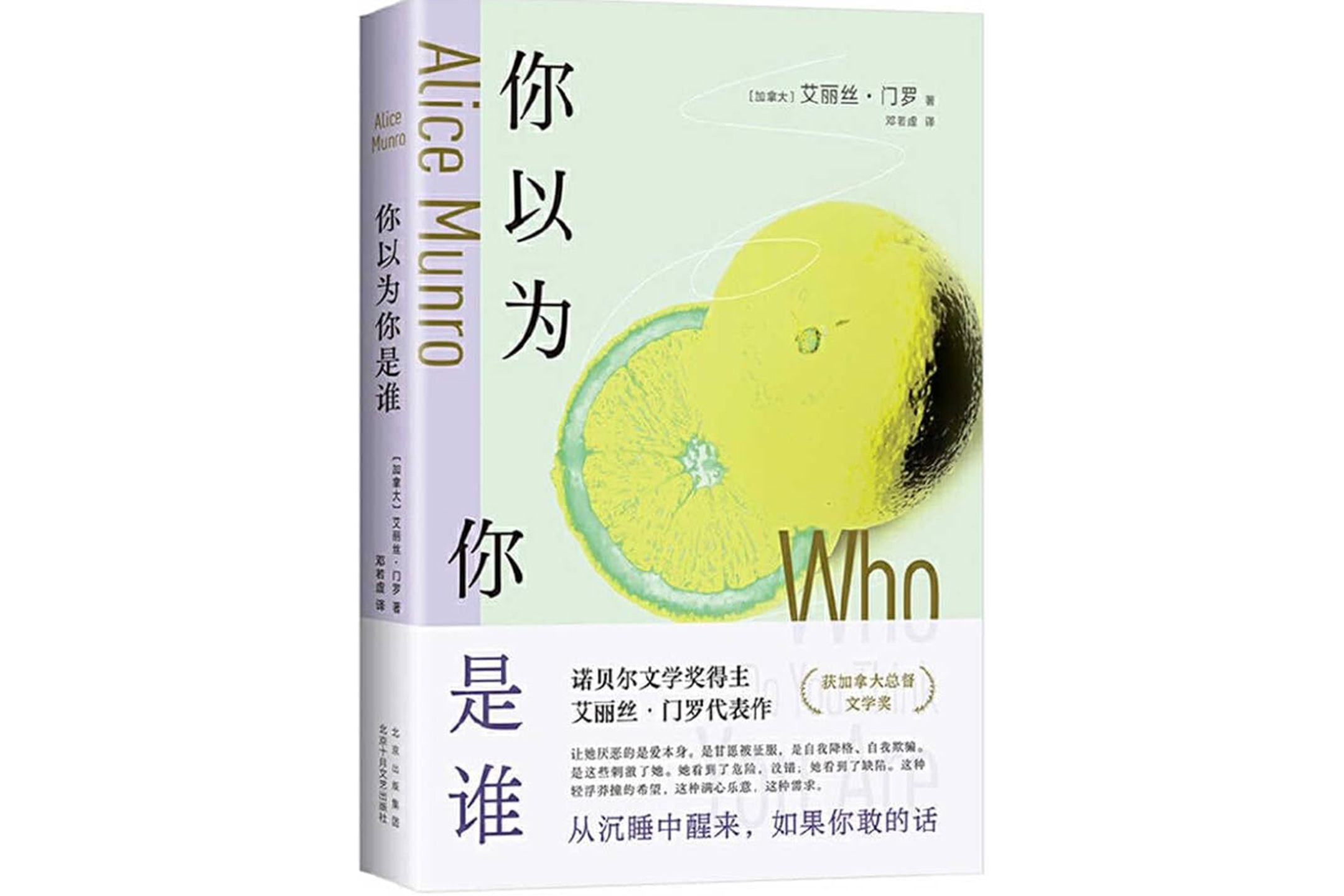 孟若小說集《你以為你是誰》（Who Do You Think You Are?）。圖：網上圖片