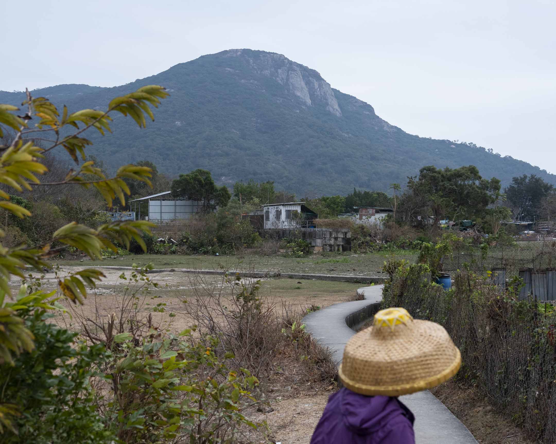 大嶼山。攝：林振東/端傳媒