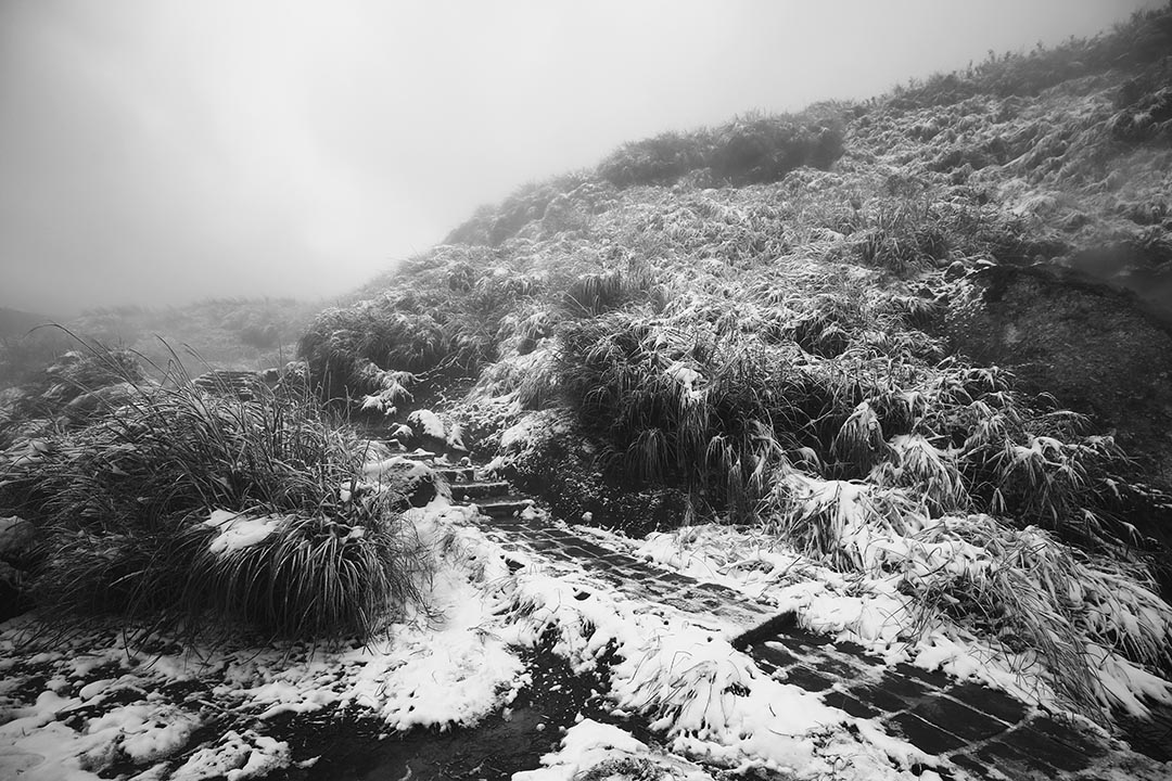 2016年1月24日，台灣陽明山。攝：張國耀/端傳媒