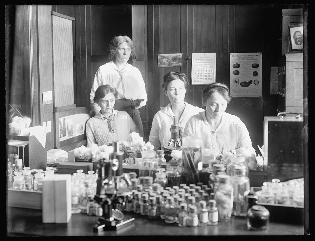 1910至20年間,四位女性科學家在實驗室內作有關寄生蟲的生物實驗。攝: National Photo Company Collection/Library of Congress/Handout via Reuters