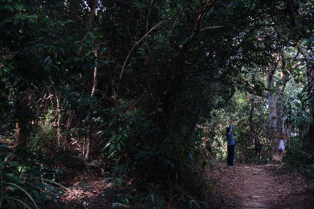 粉岭火车站旁边的蝴蝶山，长者晨运的好地点。摄：卢翊铭/端传媒