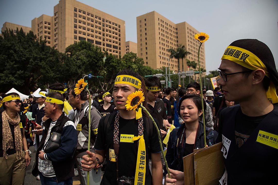 2014年3月30日，台北，逾万人参与反服贸集会，会上有参加者手持太阳花。