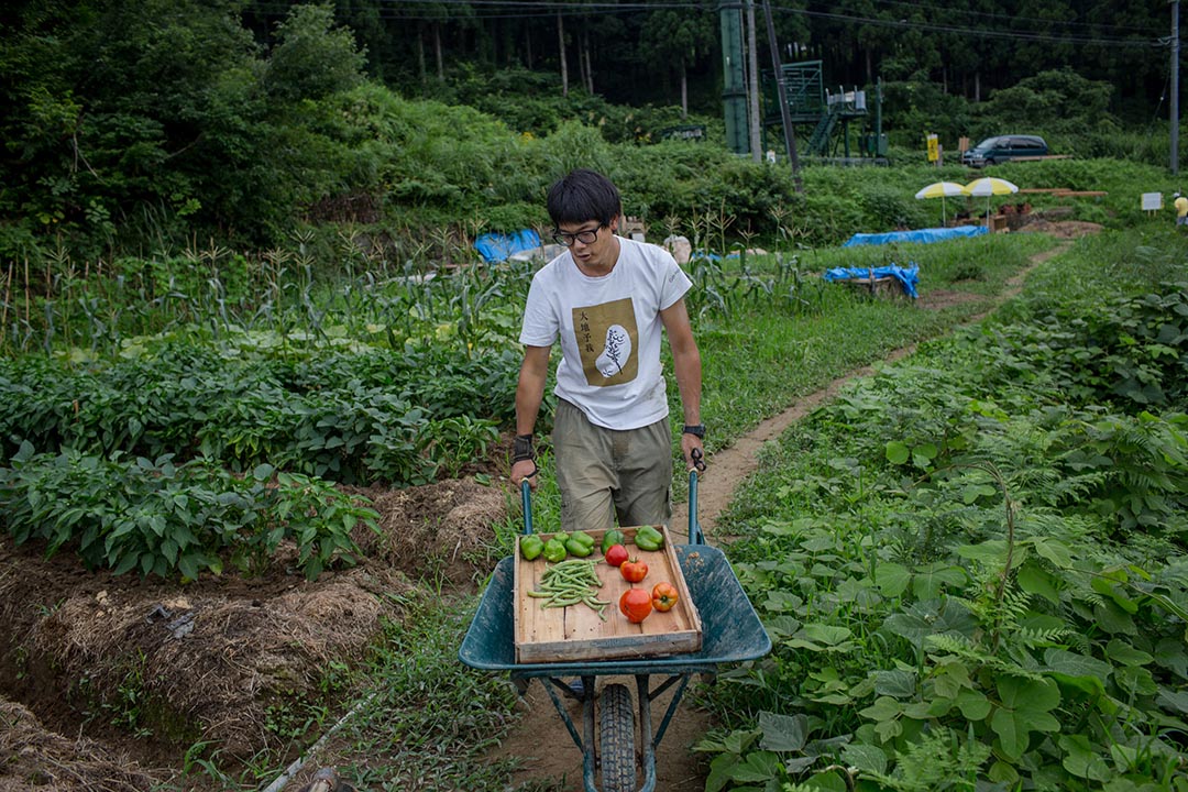 2015年8月23日日本十日町市香港农夫林自立在越后妻有大地艺术展中运送食材。摄: Nicole Tung /端传媒