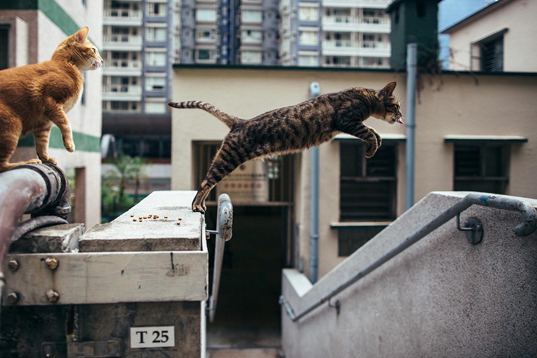 摄：卢翊铭/端传媒 