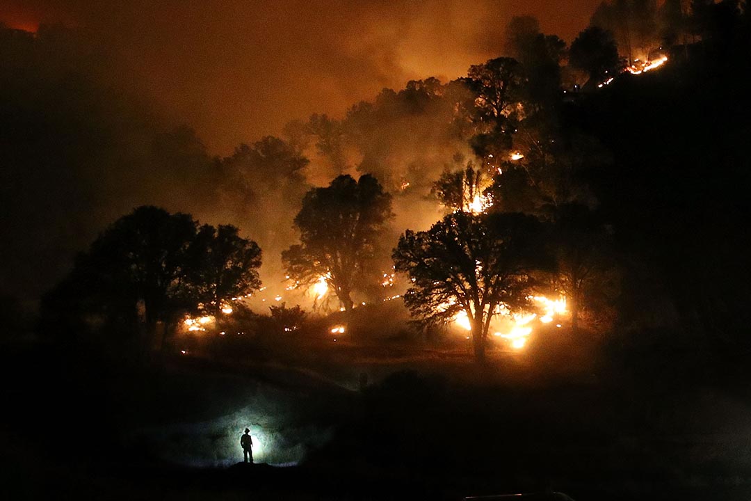 2015年8月3日,美国加州發生山火一名消防員用電筒照明道路。 攝:Justin Sullivan/Getty