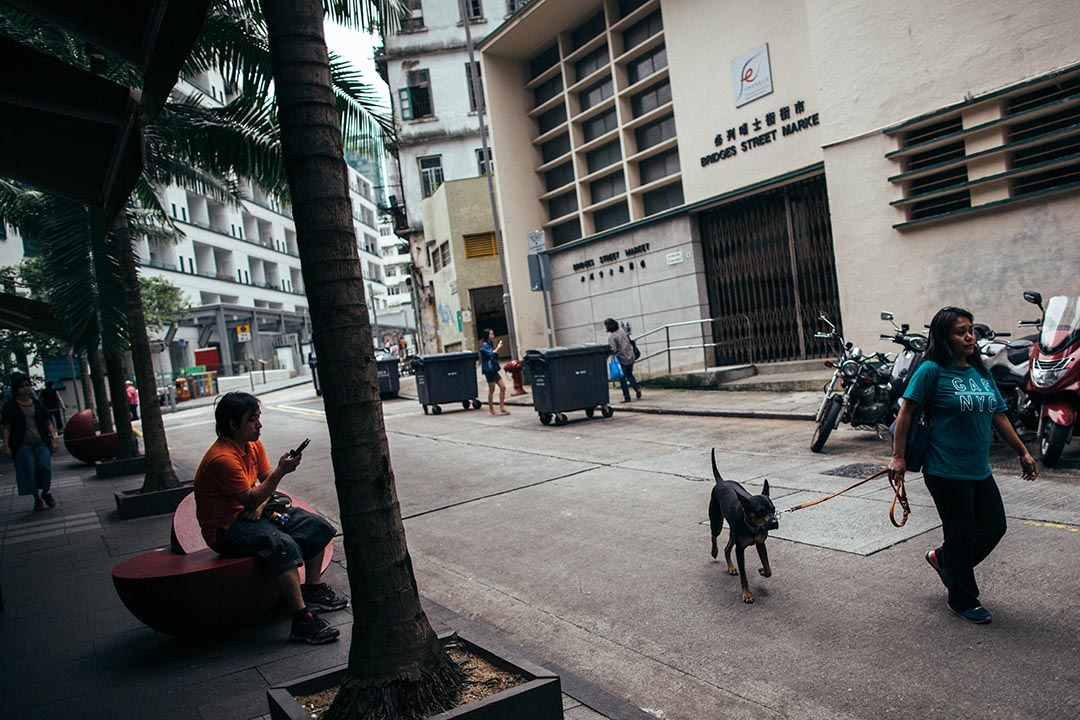 种满椰树的街道，你能想像这里是香港的一隅吗？摄：卢翊铭/端传媒 